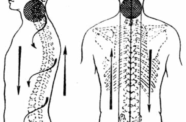 1. Здоровий хребет та суглоби ➡️