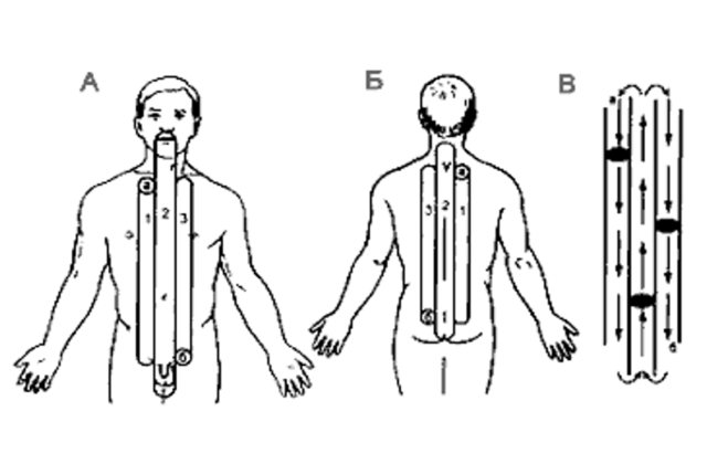 10. Підсилення імунітету ➡️