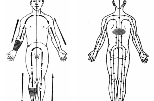 4. Здорові серце та судини ➡️