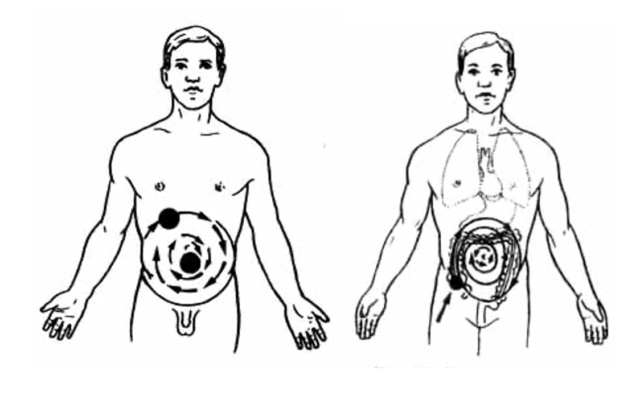 7. Здоровий кишківник ➡️