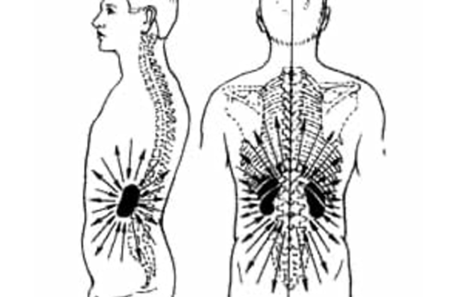 8. Здорова ендокринна система